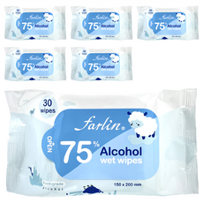 FARLIN 酒精濕紙巾 75%酒精 柔嫩觸感 小包裝方便攜帶, 6包, 1袋