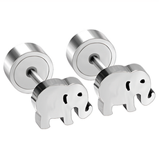 耀眼美人 微觀現象醫療鋼鈦剛鎖式耳環, Silver