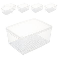 KEYWAY 名廚A1長型保鮮盒 423*310*204mm 21L, 6個, 單件