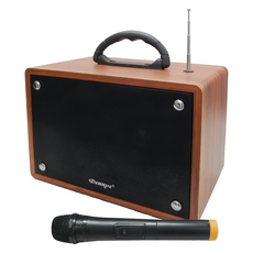 Dennys 丹尼斯 USB SD FM藍芽多功能擴大音箱 無線麥克風版, WS-350BT, 木紋手持麥克風