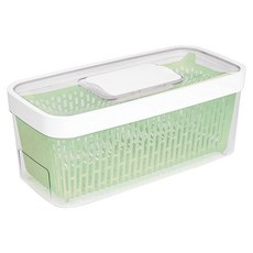 OXO 蔬果長鮮盒4.7L 冰箱保鮮收納盒 活性碳過濾 延長蔬果保鮮期, 1個