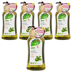 一滴淨 蘆薈多酚食品用洗潔精，99.5%植物萃取，含10%蘆薈，溫和不刺激, 1kg, 5瓶