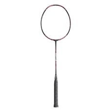 Mizuno 美津濃 FORTIUS 60 羽球拍 5U6 混和顏色, 73JTB36064, 1支