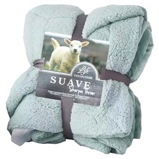 寢室安居 法蘭絨 + 羊羔絨雙層暖暖被 純色系列 1350g, 北國山川綠