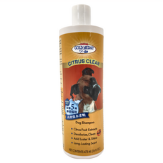 Gold Medal 康蒂娜 果漾柑橘除臭洗毛精, 添加5種神經醯胺, 高效保水柔順, 473ml, 1瓶