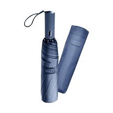 台灣 Life plus 歐系時尚潮流自動開收風暴傘 415g