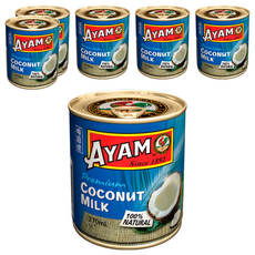 AYAM 雄雞標 特級椰奶罐頭, 100%天然, 270ml, 6罐