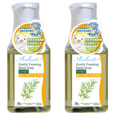 春風 抗菌洗手泡泡慕斯, 400g, 2瓶