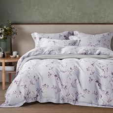 60支100%天絲 特大雙人床包兩用被四件組