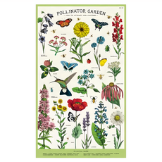 CAVALLINI&CO. 茶巾，美國品牌，80x47cm，棉質, 授粉小幫手, 1個