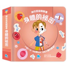 抽拉百變翻翻書：身體的秘密, 京采文教, 抽拉百變翻翻書