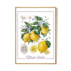 Boluo 菠蘿選畫所 檸檬裝飾畫, 40 x 30cm, 木色