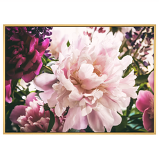 Boluo 菠蘿選畫所 芍藥一朵留芳菲 40 x 30cm 框畫 優雅居家裝飾, 木色