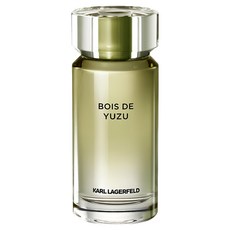 KARL LAGERFELD 卡爾 台灣公司貨 綠意香橙木男性淡香水, 1瓶, 100ml