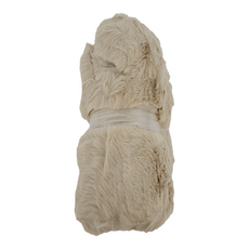 ROYALLIN 蘿林嚴選 超柔軟小熊造型地墊 (卡其色) 聚酯纖維, 60 x 80cm