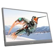 REAICE 台陞科技 IPS超薄可攜式外接螢幕 15.6型, P156FA, 39.624cm