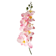 KUIBAO 快豹生活 orchid九頭膠片蝴蝶蘭仿真花 淺粉色 無需照料 持久耐用, 1件