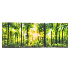 24mama 掛畫 單聯式 陽光 叢林 森林 植物 樹木 草木 招財 風水 自然 風景無框畫, 80 x 30cm, 森林之歌