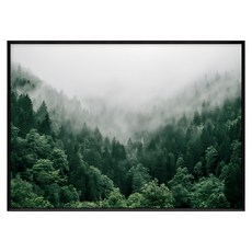 隨旅森林 森林風景裝飾畫, 黑色