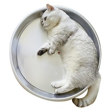 四季通用貓咪夏季鋁盆貓窩涼鍋夏天降溫神器, 1個, 銀色