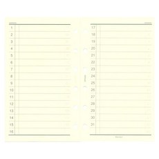 Raymay 一個月內頁 袖珍尺寸方便攜帶 月計畫一目瞭然掌握每月行程, 袖珍見開, 30張, 1入