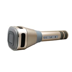 wonder 旺德電通 藍牙KTV麥克風, WS-T167M