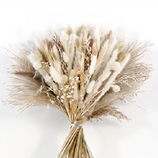 KUIBAO 快豹生活 Loipa 真花乾燥花束 有紙箱 CH-029, 杏色