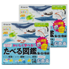 Kracie 葵緹亞 知育菓子 創意DIY 海洋圖鑑小達人, 簡單有趣 訓練孩童的創造力 不添加防腐劑 使用天然色素 讓小朋友玩得開心 吃得放心, 13g, 2盒