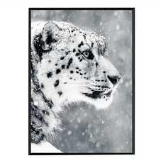 堅持 雪豹 藝術牆面裝飾畫, 黑色