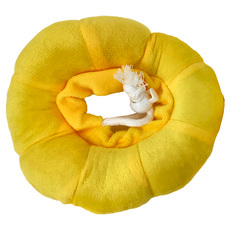 伊莉莎白圈(XS) 2入1組 防舔防咬頭套 貓咪/中小型的犬適用, 太陽花, 1組