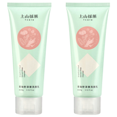 tsaio 上山採藥 青柚籽深層洗顏乳 100g, 平衡肌膚油脂, 草本菁萃, 喚膚潤澤, 2條