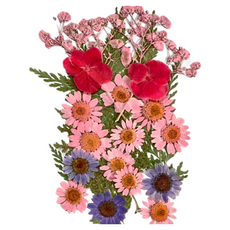 A ONE 真花壓花 中花包-粉紅佳人 BB04 2入