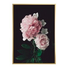 雍容華貴 牡丹I, 金色