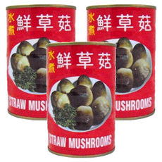 寶冠 草菇 水煮鮮草菇, 425g, 3罐