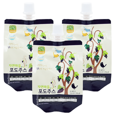 Nature Village 自然村 葡萄果汁, 100%韓國產, 無添加, 100ml, 3包