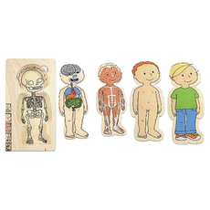 beleduc 多層拼圖 男孩 5合1人體拼圖, 28片, 1組