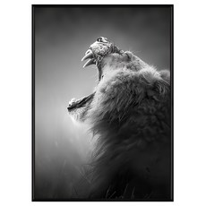 BOLUO GALLERY 菠蘿選畫所 獅 一呼百應 ANSS4619B 掛畫, 黑色