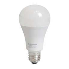 TOA 東亞照明 全電壓 LED 球泡燈 13W, 6500K/晝光色, 20個