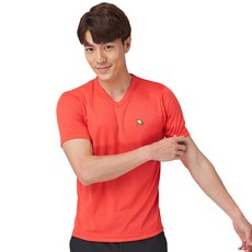 Arnold Palmer 雨傘牌 DRY網眼V領短袖衣 100%聚酯纖維(排汗紗) 台灣製, L, 橘色