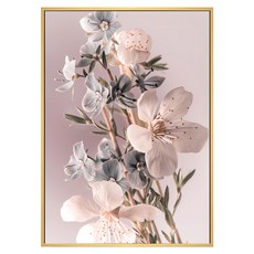 菠蘿選畫所 花語 蘋果花 BFEF4608D 掛畫 59.4 x 42cm 室內裝飾, 木色