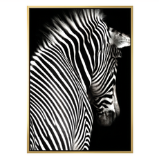 斑馬II 掛畫, 金色