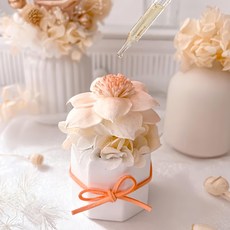 Floral M 加州落日香氛擴香花, 加州橙, 1組, 5ml