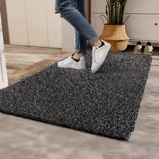玄關地墊 黑色 吸水防滑 安全舒適 簡約時尚 易於清潔, 1個