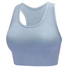 Homegym 歐美高強度挖背運動內衣 L 馬卡龍藍，高強度支撐，透氣舒適，時尚挖背設計