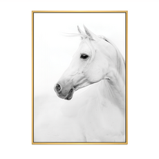 黑白馬壁畫, 淺木色