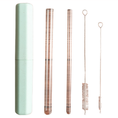 MOCODO 伴佳家 環保玻璃吸管5件組, 高硼硅耐熱玻璃, 含清潔刷, 1組