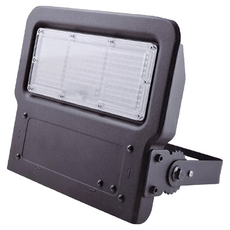 EVERLIGHT 億光 星宇LED投光燈 80W 100-240Vac 防水等級IP65, 1個