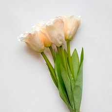 FLORAL M 夏日野餐氣息仿真花花材 洋桔梗, 奶霜橙, 7支