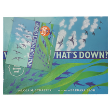 歌唱繪本 Whats Up Down? 精裝書+CD, Whats Up Whats Down?