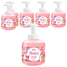 GREEN 綠的 植物抗菌潔手慕斯 開心花園, 植物水潤因子 深層滋潤 溫和清潔 慕斯泡泡, 400ml, 6瓶